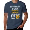 Don't Piss me off, I'm close to leveling up and you look just enough XP - Gaming Shirt T-Shirt quick-drying Blouse mens t shirts