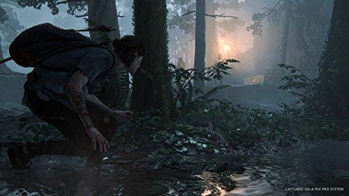 [PS4] The Last of Us Part II [CERO Rating "Z"]