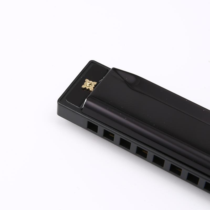 1 Stück Professionelle 10-Loch 20-Ton-Mundharmonika Farbe C-Ton Mundharmonikas Mit Etui Weihnachtsgeschenk Für Anfänger Mundharmonika