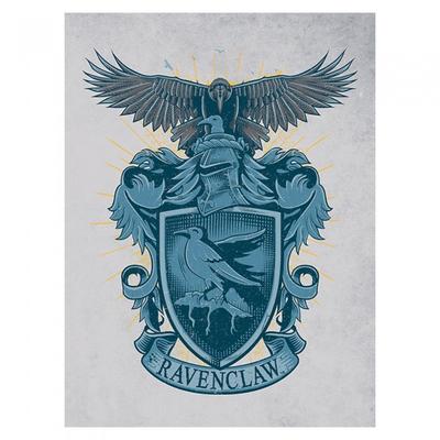 Ravenclaw Canvas Print