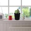 Milisten Plastic Black Flower Pots, 10-Piece Set, Seedling Pots, Planter for Succulents, Plant Pots, Planter for Indoor Gardening