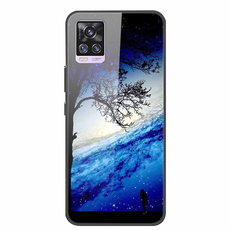 For Vivo V20 Pro Phone Case V 20 Pro Soft Bumper Tempered Glass Hard Back Covers Cases For Vivo V20 Pro Case 6.44" Coque Fundas
