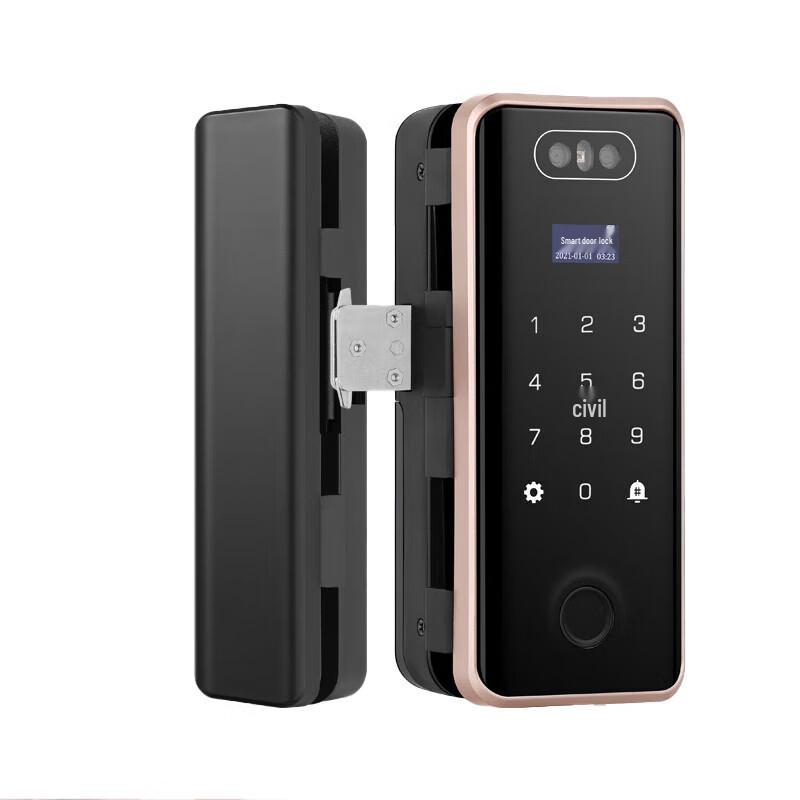 Realand ZD508 Face Recognition Smart Lock