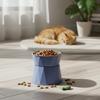 High Foot Stainless Steel Cat Bowl Neck Protector Anti-overturning Cat Food Bowl Beneficial For Digestion Raised Feeder