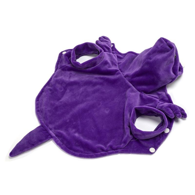 Halloween Dinosaur Transformation Dog Costume, Small Dog and Cat Pet Clothing