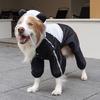 Cartoon Dog Raincoat with Hood Funny Shape Four Legs Dog Costume Dinosaur Pet Jumpsuit  Puppy