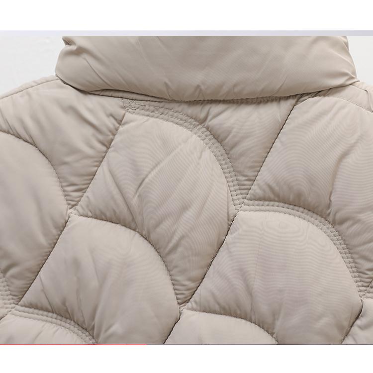 Autumn Winter Women's Thin Stand-Up Collar Down Vest Slim Short Style Warm & Casual Down Cotton Vest