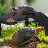 Piattaforma Habitat Tartarughe di Dimensioni Medie Stazione di Alimentazione Tartarughe Decorazione Paesaggistica per Acquari Domestici