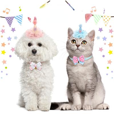2024 Nou Set Pălărie Ajustabilă pentru Animale de Companie Gât Pălărie Pisică Guler Îmbrăcăminte de Cap Decor de Anul Nou Accesorii Pisică