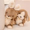 Kawaii Teddy Bear Long-eared rabbit Soft Plush Toys Stuffed Animal Cute Rabbit Doll Birthday Christmas Gift Kids  Baby Toy