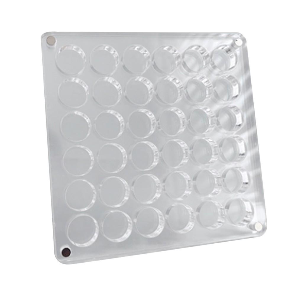 Sleek Acrylic Magnetic Seashell Display Box A Must Have for Shell Collectors