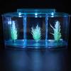 Adjustable Light Acrylic Three Areas Small Aquarium, Fish Tank, for Betta for Small Fishes(Blue)