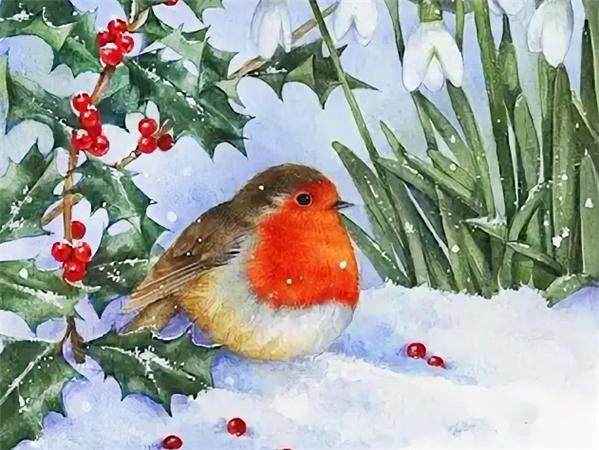 Diamond Art Painting Bird Snow Home Decor Square/round Embroidery Mosaic Animal Winter 5d Diy Wall Sticker