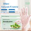 Disposable Food-Grade PE Gloves (2-Box Pack)