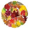 50PCS Realistic Transparent Autumn Leaf Stickers: Waterproof PET Tree Leaves for Decorating Cups and Journals.