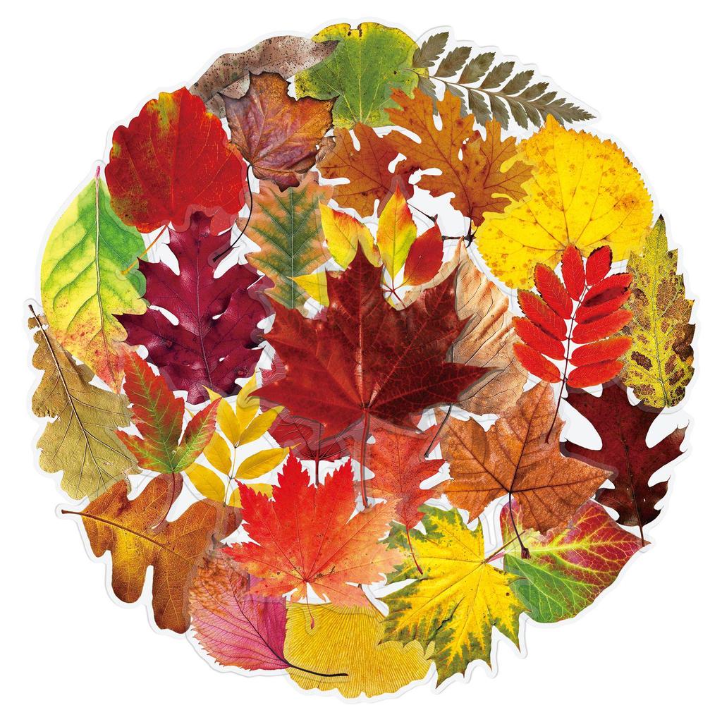 50PCS Realistic Transparent Autumn Leaf Stickers: Waterproof PET Tree Leaves for Decorating Cups and Journals.