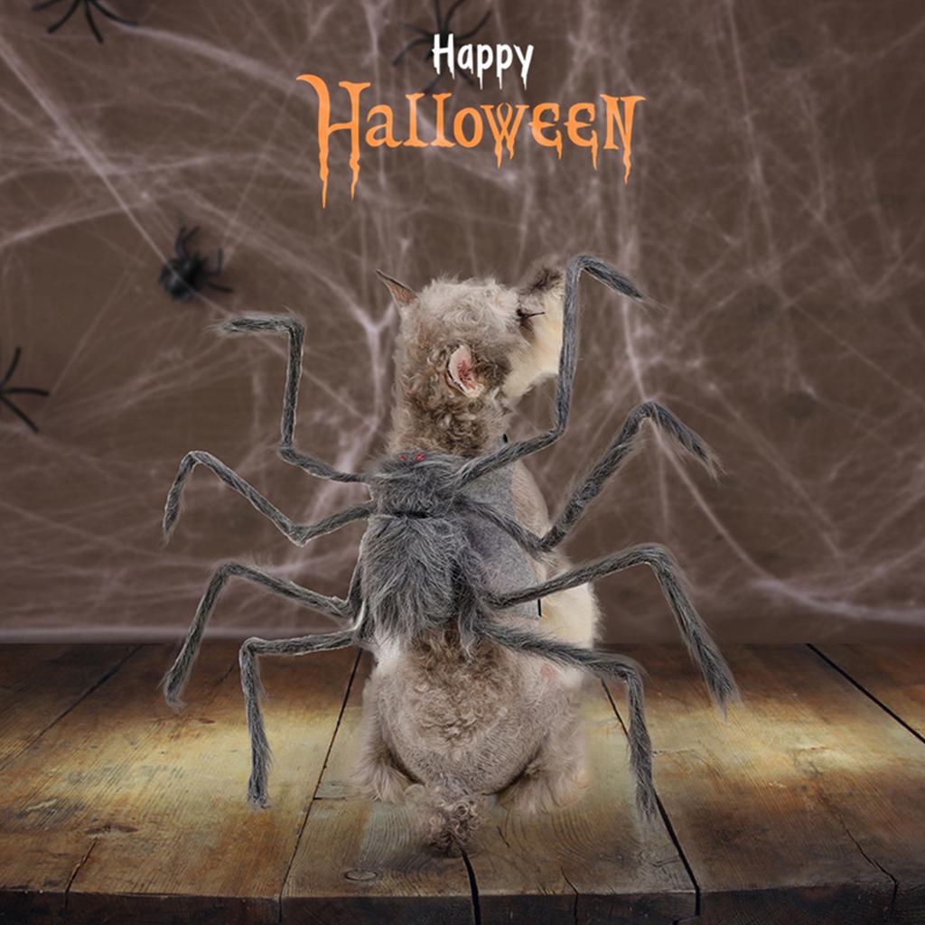 Cats Dog Funny Spider Cosplay Animal Costume Arachnid Soft Comfortable Costume Accessories Dress Up