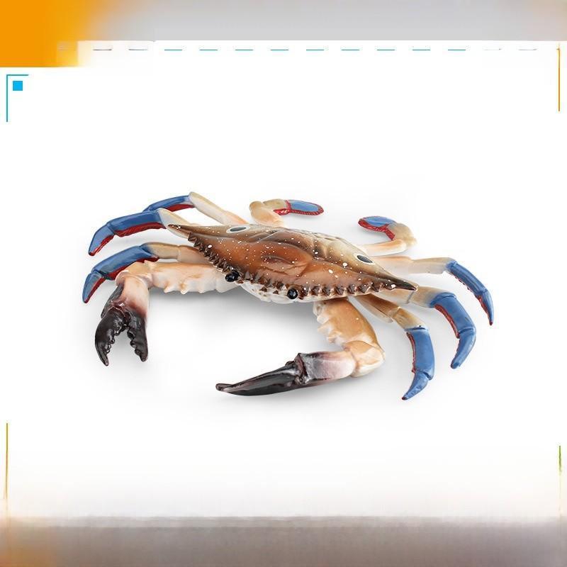 Marine Life Crab Replica For Kids Learning Aquarium Decoration Pvc Collectible