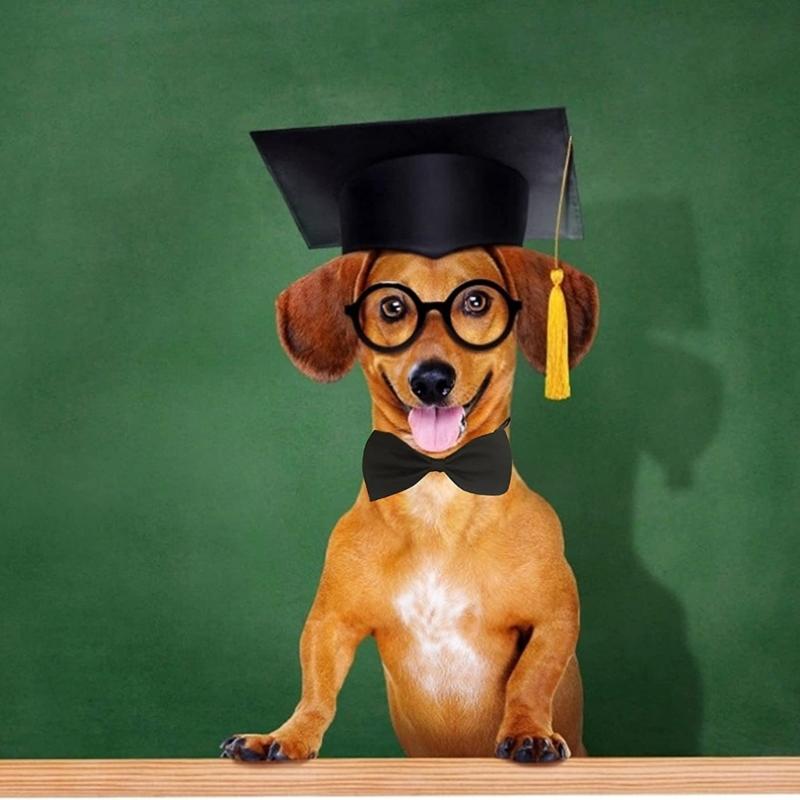 Maturitní párty čepice pro kočky Párty kostým pro psy Klobouk Nastavitelný Pozovatelný mazlíček Maturitní bakalářský klobouk Čepice pro hraní rolí