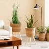 Nordic Rattan Woven Flower Pot and Stand for Living Room/Balcony Decor.