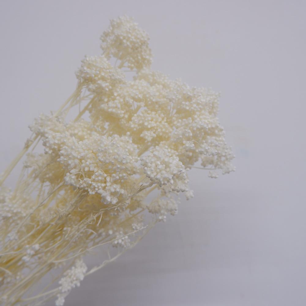 Eternal Flower Bleaching Millet Flower, Preserving Flowers, Rice Flower Eternal Flower Dried Flower Rice Grass Home Decoration Bouquet Accessories