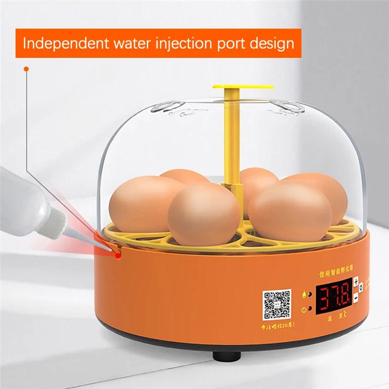 6 Egg Incubator Automatic Turning Temperature Control Breeding Hatchery Chicken Quail Duck Birds Mini Brooder Incubation Device