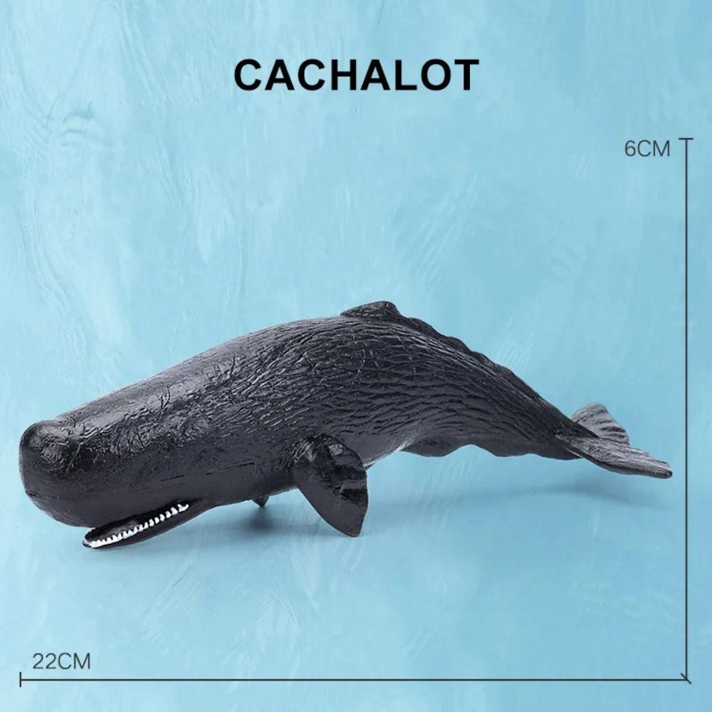 PVC Simulation Sea Life Shark Cachalot Ocean Action Figures Gift Whale Figurines