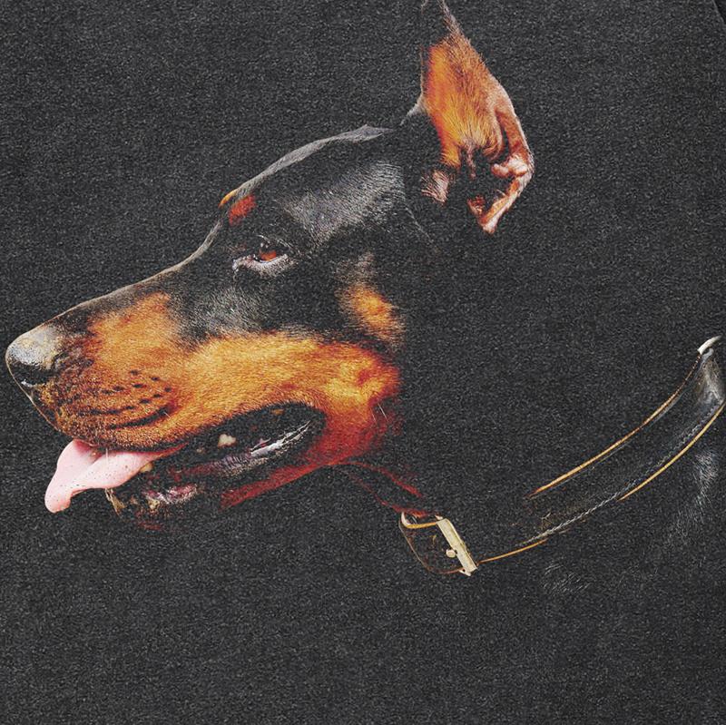 Уличная футболка унисекс с рисунком добермана — фото 3