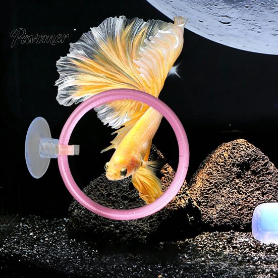 Aquarium Training Equipment 1/3Pcs Betta Fish Exercise Ring with Suction Cup, Interaction Toy Feeding Ring, Tank Enrichment Toy, Accessories Loop
