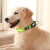 Leichtes Hundehalsband für kleine Hunde Verschleißfestes Hundehalsband für Outdoor-Abenteuer Wiederaufladbares LED-Hundehalsband für die Nacht