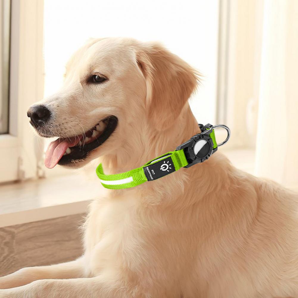 Leichtes Hundehalsband für kleine Hunde Verschleißfestes Hundehalsband für Outdoor-Abenteuer Wiederaufladbares LED-Hundehalsband für die Nacht