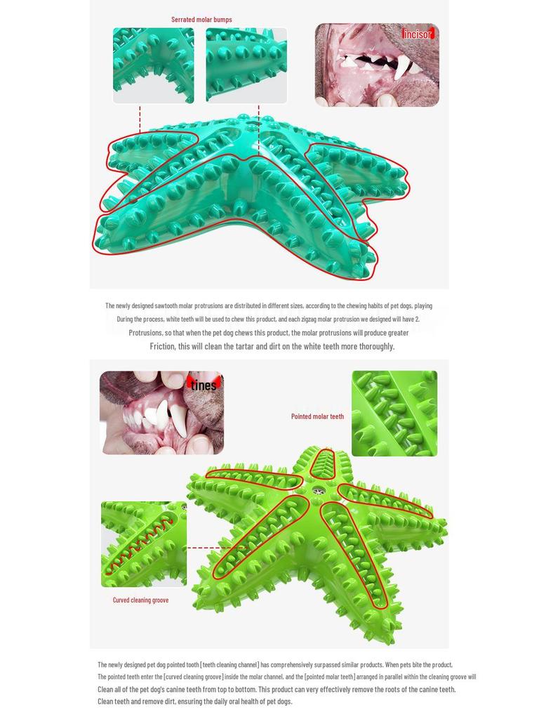 Dog Starfish Teething Toy & Toothbrush: Pet-Friendly Chew Stick