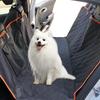 Transportare şi depozitare – Transportarea animalelor