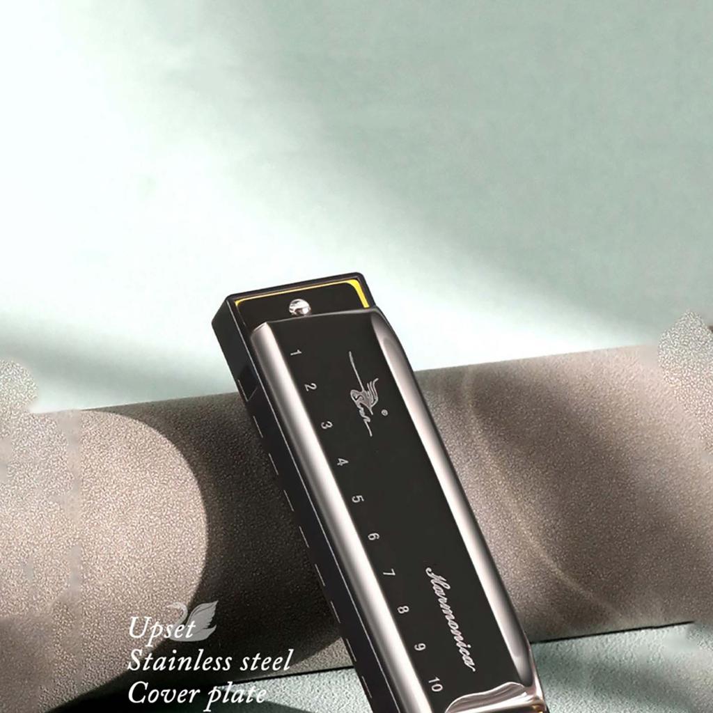 10 Hole C Key Blues Harmonica Beginner To Play 10 Hole Harmonica