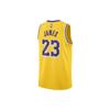 Nike Los Angeles Lakers Icon Edition Men's Nike Dri-FIT Nba Swingman Jersey DN2009-733