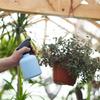 Hand Operated Watering Can 600ml Garden Sprayer Hand Pressure Sprayer  Watering Plants