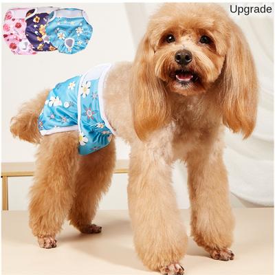 Hundkläder & Skor – Hundshorts