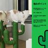 VETRESKA 80cm Katzenkrallenschärfer Kaktus Katzenbaum Katzenkrallenschärfer Kratzbaum Katzenturm Innenraum Stabil Standfest Robust Lindert Bewegungsmangel und
