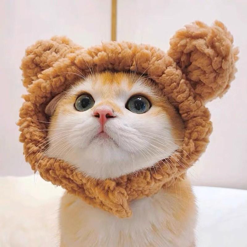 Funny Rabbit & Bear Pet Hat for Cats and Dogs - Cute Internet Celebrity Costume