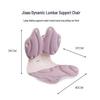 Jiaao Ergonomic Lumbar Support Cushion