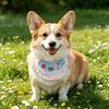 Cute Ruffled Pet Bib Pink And Blue Sweet Cat Bandana Bib Bear Embroidery Adjustable Pet Bib for Cats Small Dogs