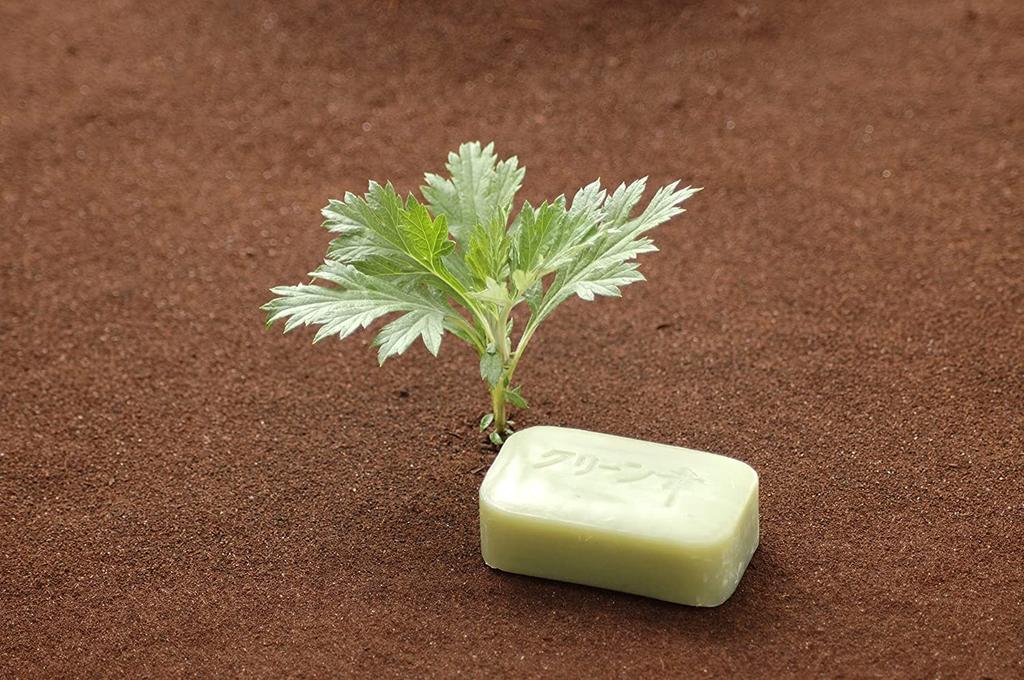Chi no Shiosha Mugwort Soap Solid soap Made in Japan 4-pack Fragrance-free Color-free
