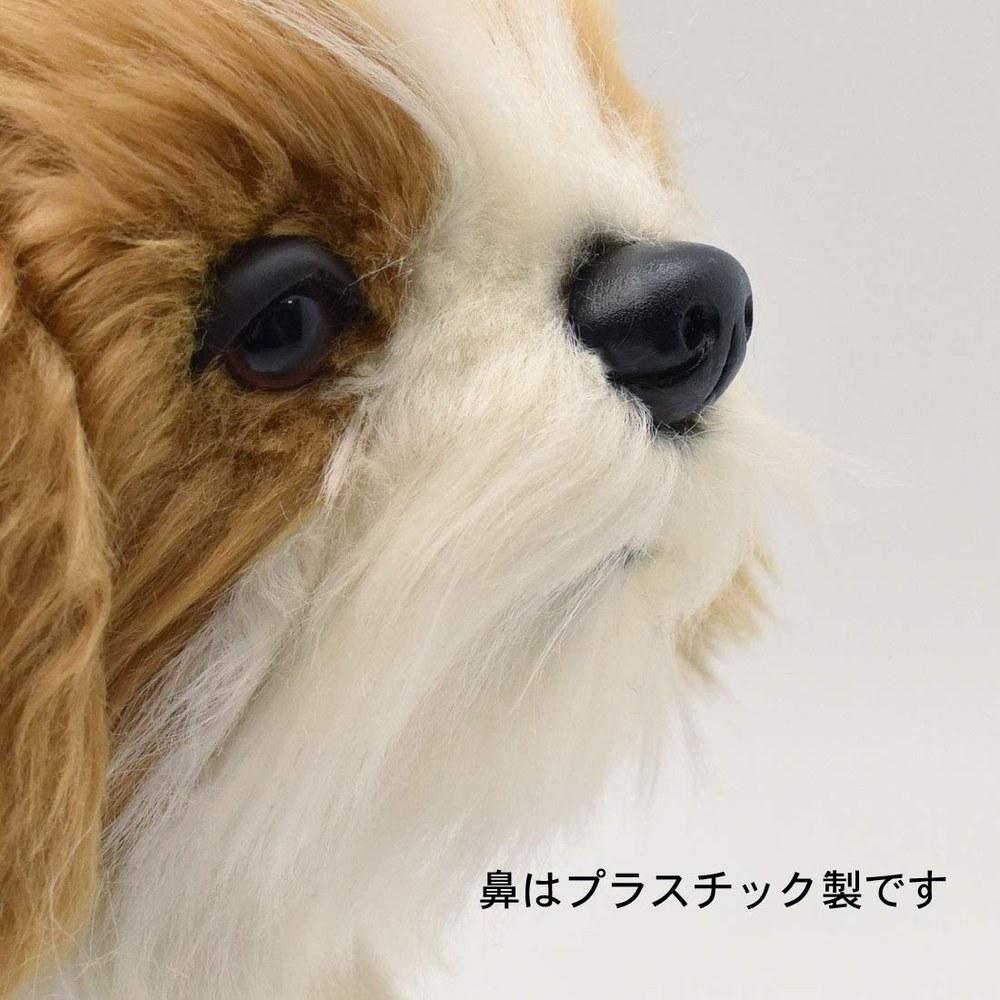 HANSA BH7030 Shih Tzu 30
