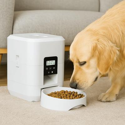 Button/WIFI Version 2L Smart Cat Feeder Timed APP Control Cat Automatic Feeder Quantitative Dog Dry Food Dispenser For Cats Dog