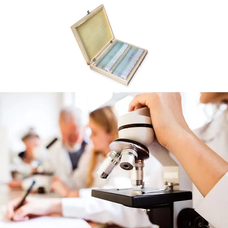 25/50/100 Pcs Prepared Premade Microscope Slides Set Basic Biological Science Education with Wooden for Case