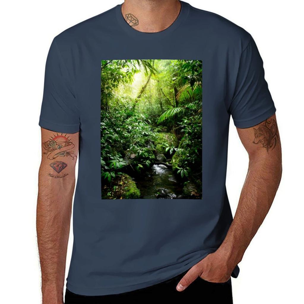Rainforest In Warm Glow Tshirt Basic Plain Short Sleeve Crew Neck Tee Tshirt