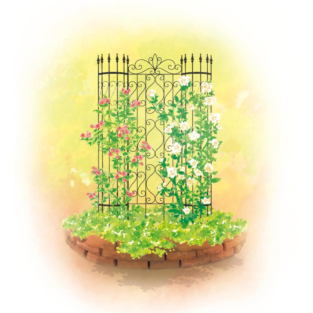 Takasho G-Story Design Klimrek 1800