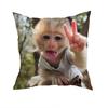 Funny Cute Monkey Pillow Case Sofa Living Room Bedroom Headboard Backrest Cushion Square Cushion Nap Time