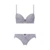 Triumph Sexy Smooth Bra and Panty Size Web Exclusive Women's Set, Gray, C70M,