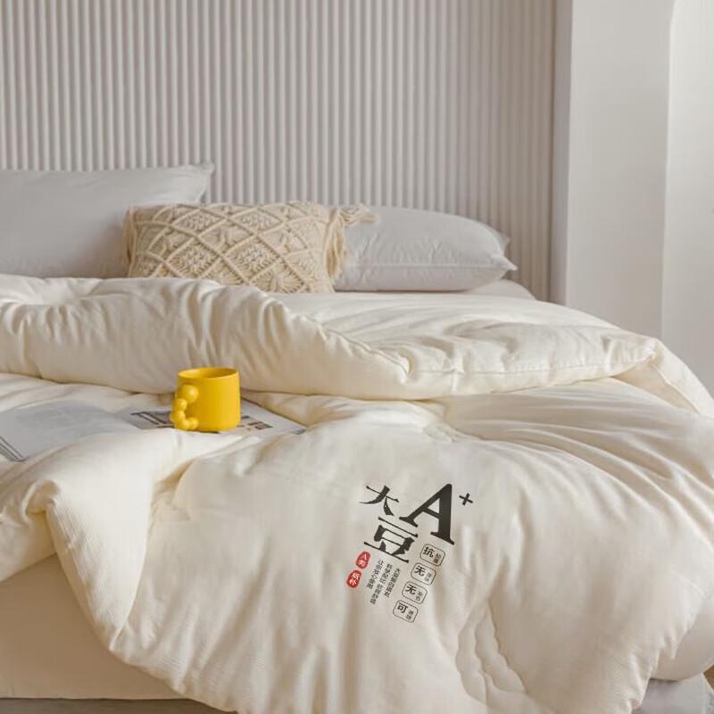 Muji All-Season Soybean Fiber Quilt